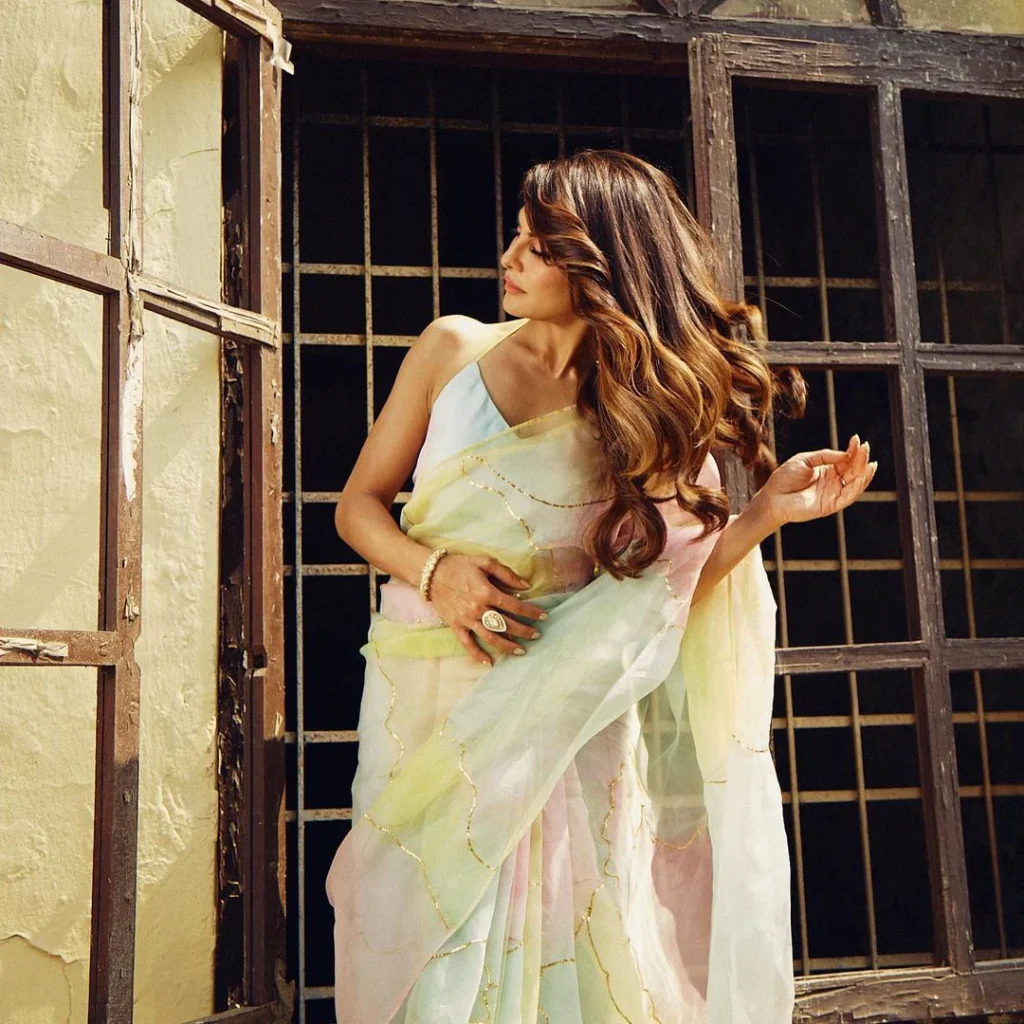Get Organza Saree blouse ideas from Jacqueline Fernandez with a halter neck blouse