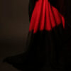 Crimson Noir Red and Black Linen Shaded Saree